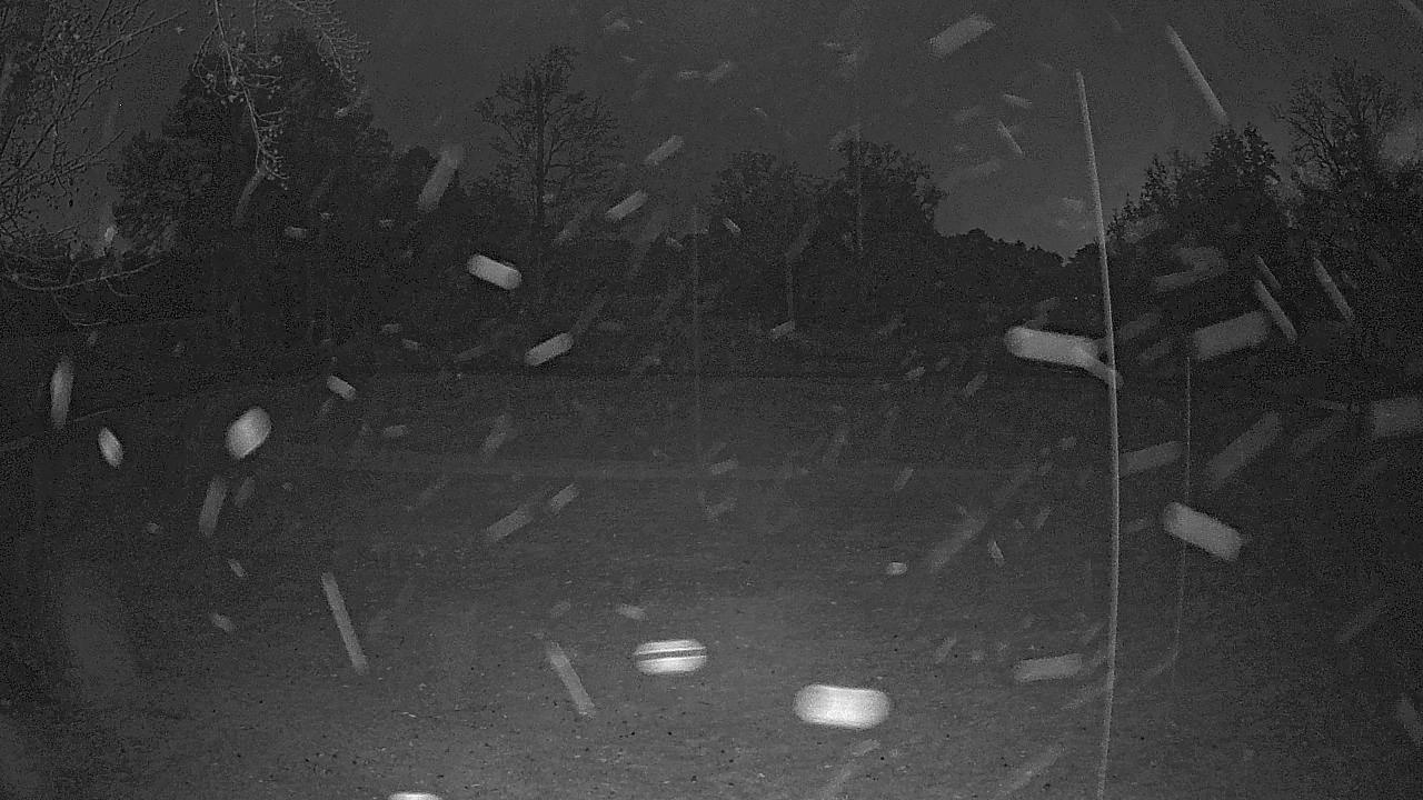 Thumbnail for current weather camera view from Lagoon Park in Montgomery, Alabama