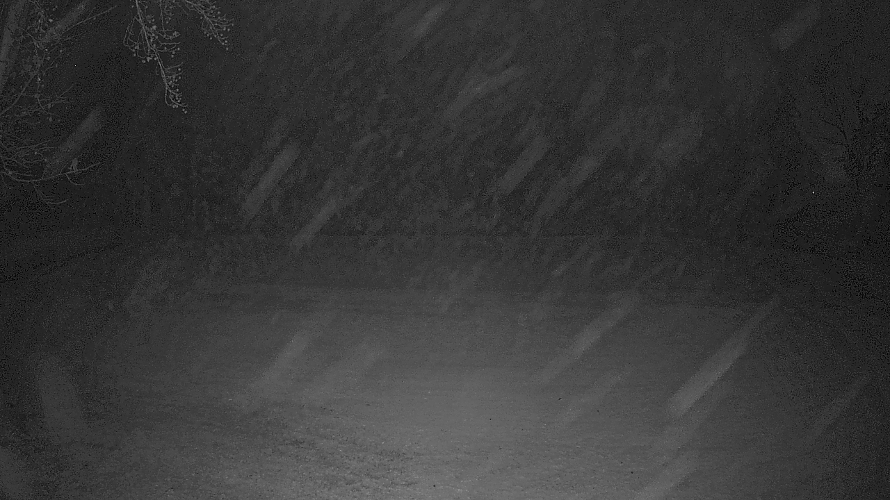 Thumbnail for current weather camera view from Lagoon Park in Montgomery, Alabama