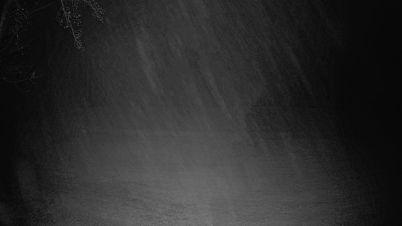 Thumbnail for current weather camera view from Lagoon Park in Montgomery, Alabama