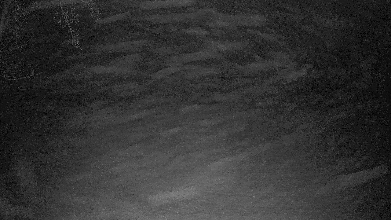 Thumbnail for current weather camera view from Lagoon Park in Montgomery, Alabama