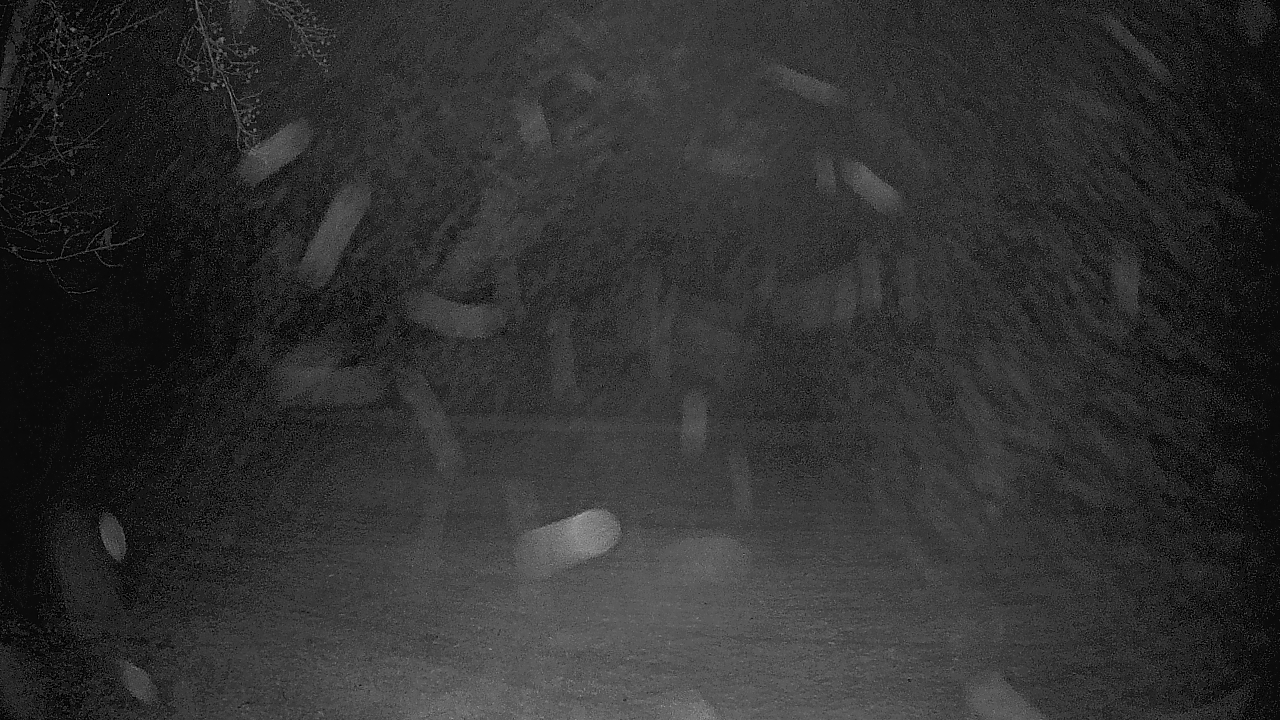 Thumbnail for current weather camera view from Lagoon Park in Montgomery, Alabama