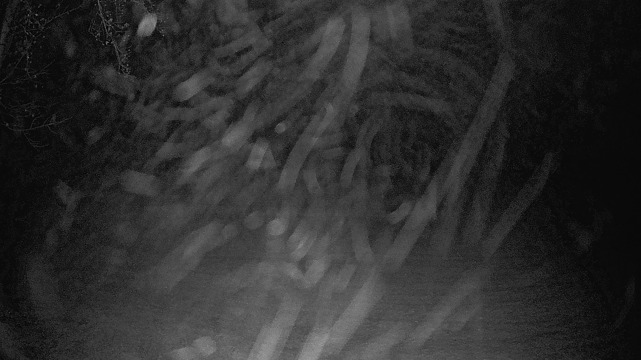 Thumbnail for current weather camera view from Lagoon Park in Montgomery, Alabama