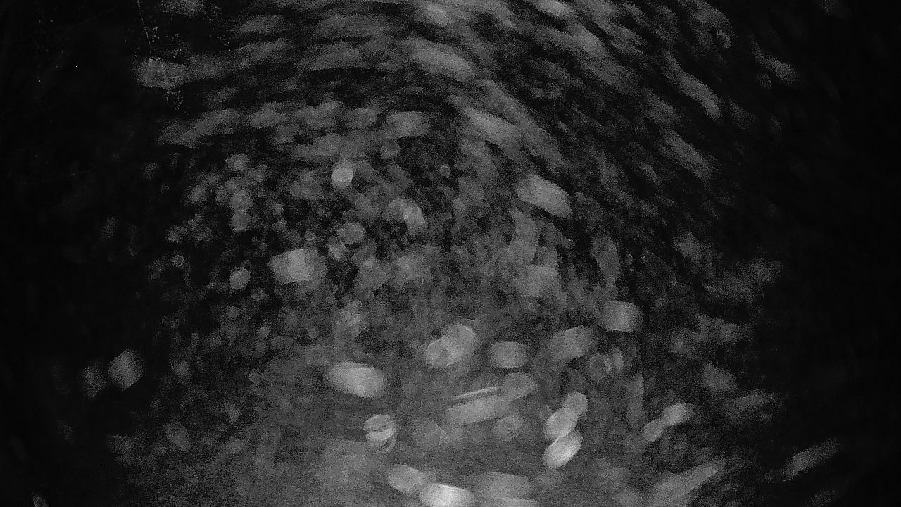 Thumbnail for current weather camera view from Lagoon Park in Montgomery, Alabama