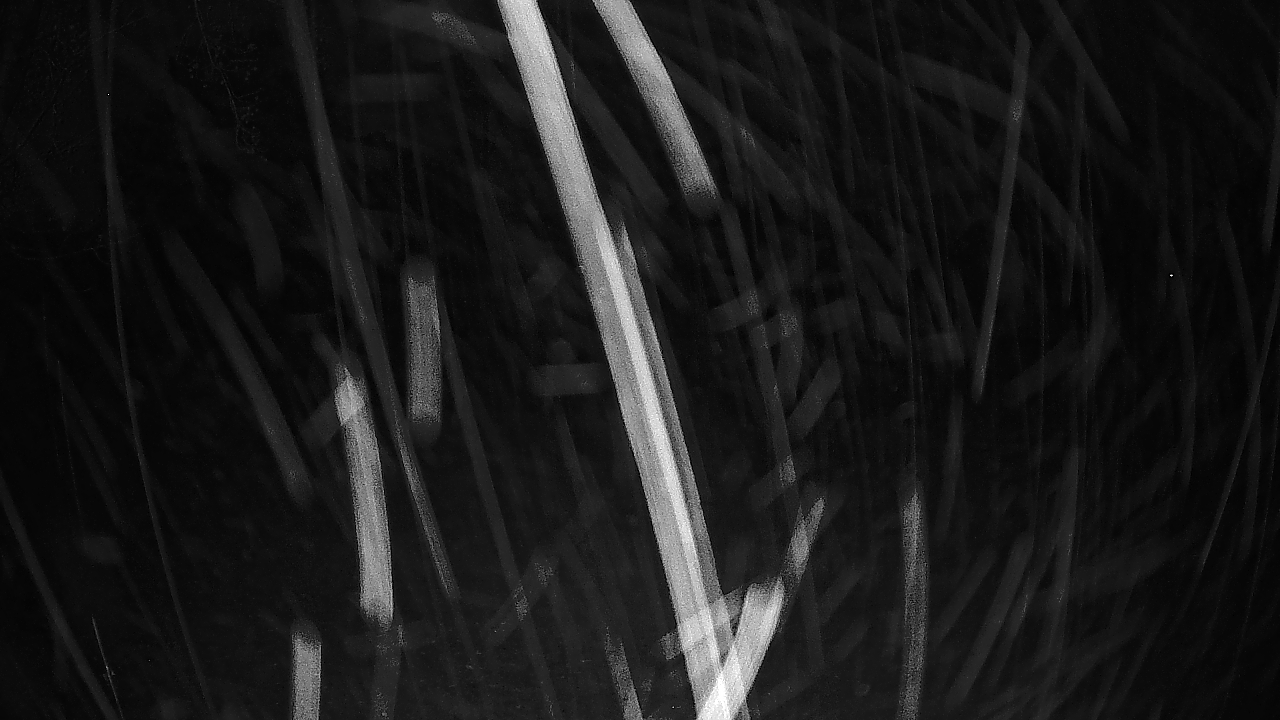 Thumbnail for current weather camera view from Lagoon Park in Montgomery, Alabama