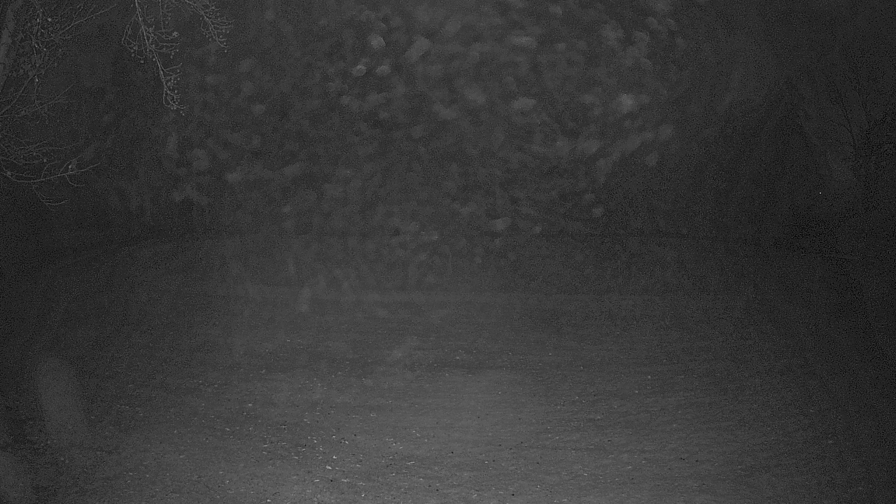 Thumbnail for current weather camera view from Lagoon Park in Montgomery, Alabama