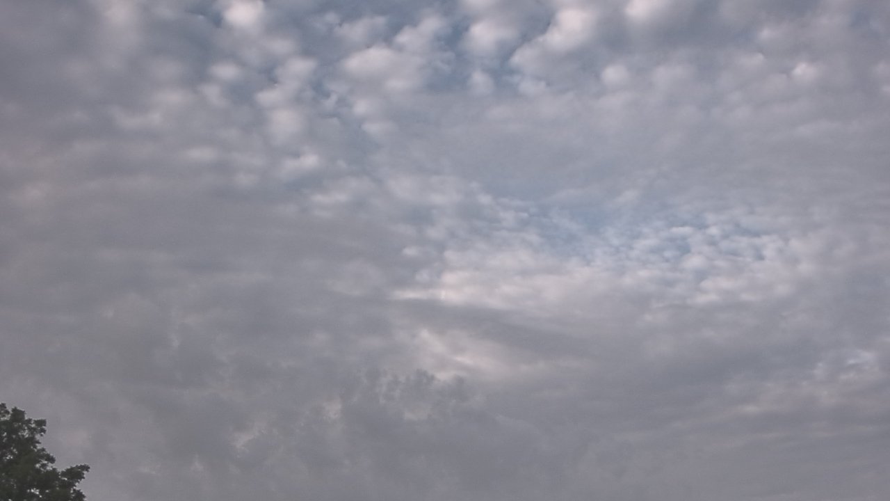 Thumbnail for current weather camera view from The Lamplighter School in Dallas, Texas