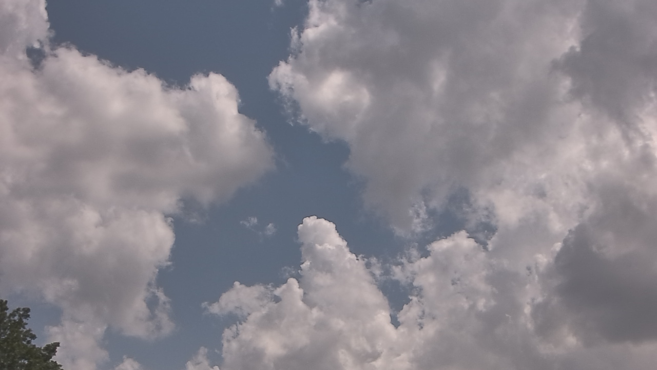 Thumbnail for current weather camera view from The Lamplighter School in Dallas, Texas
