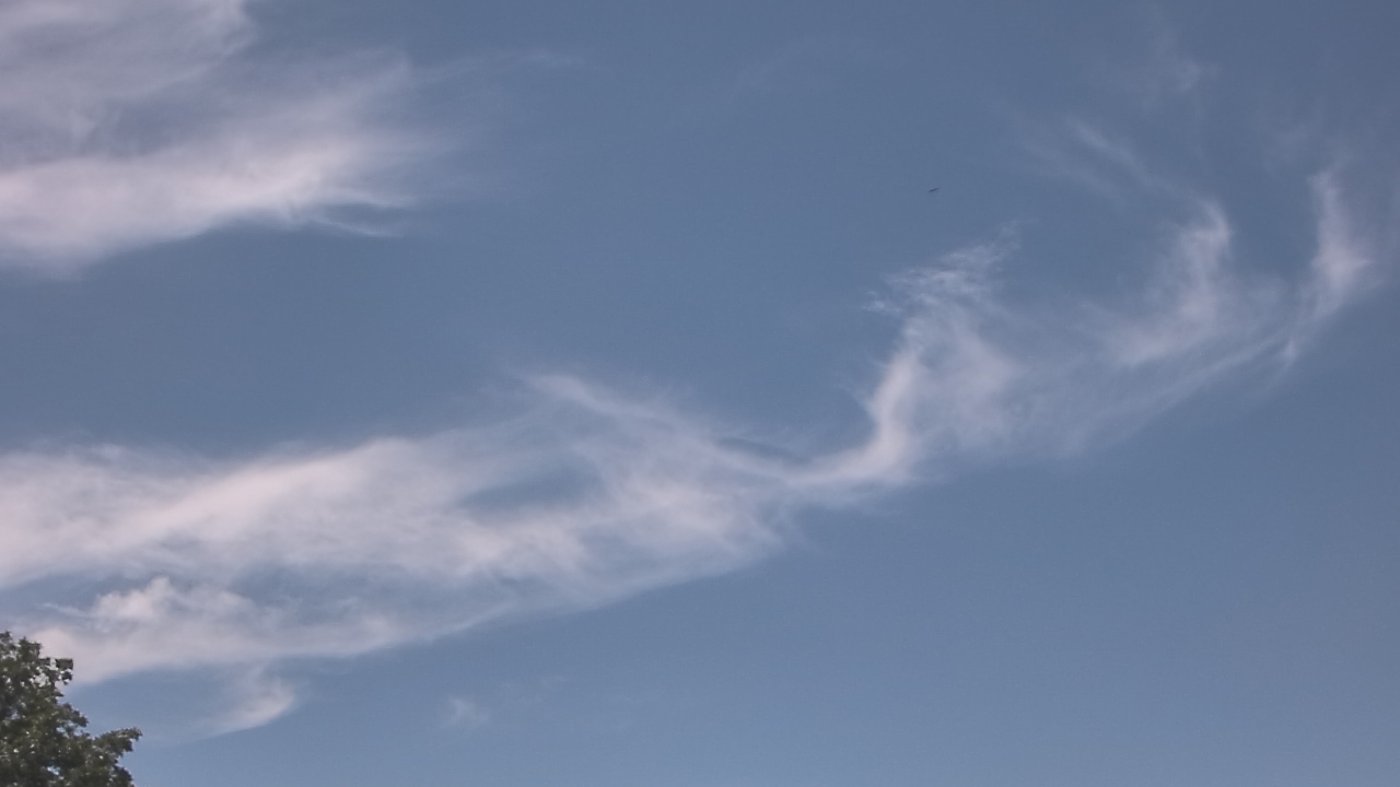 Thumbnail for current weather camera view from The Lamplighter School in Dallas, Texas