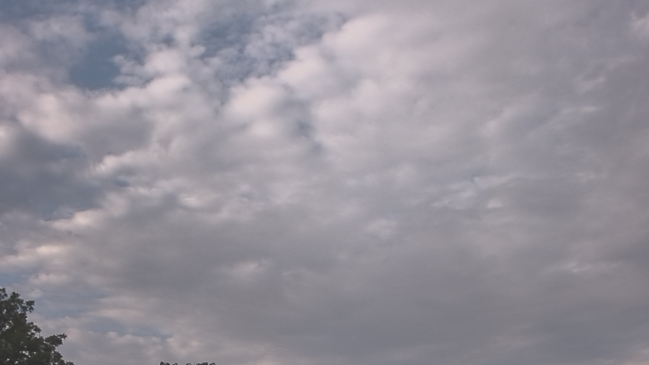 Thumbnail for current weather camera view from The Lamplighter School in Dallas, Texas