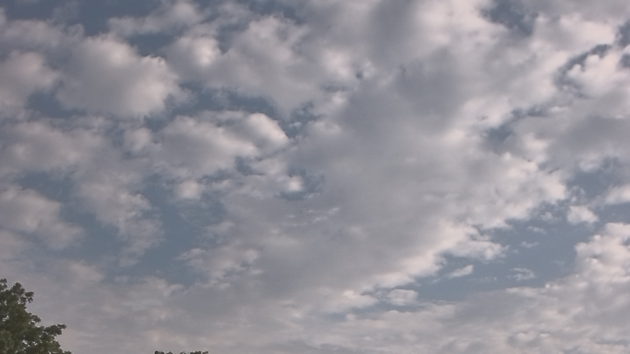 Thumbnail for current weather camera view from The Lamplighter School in Dallas, Texas