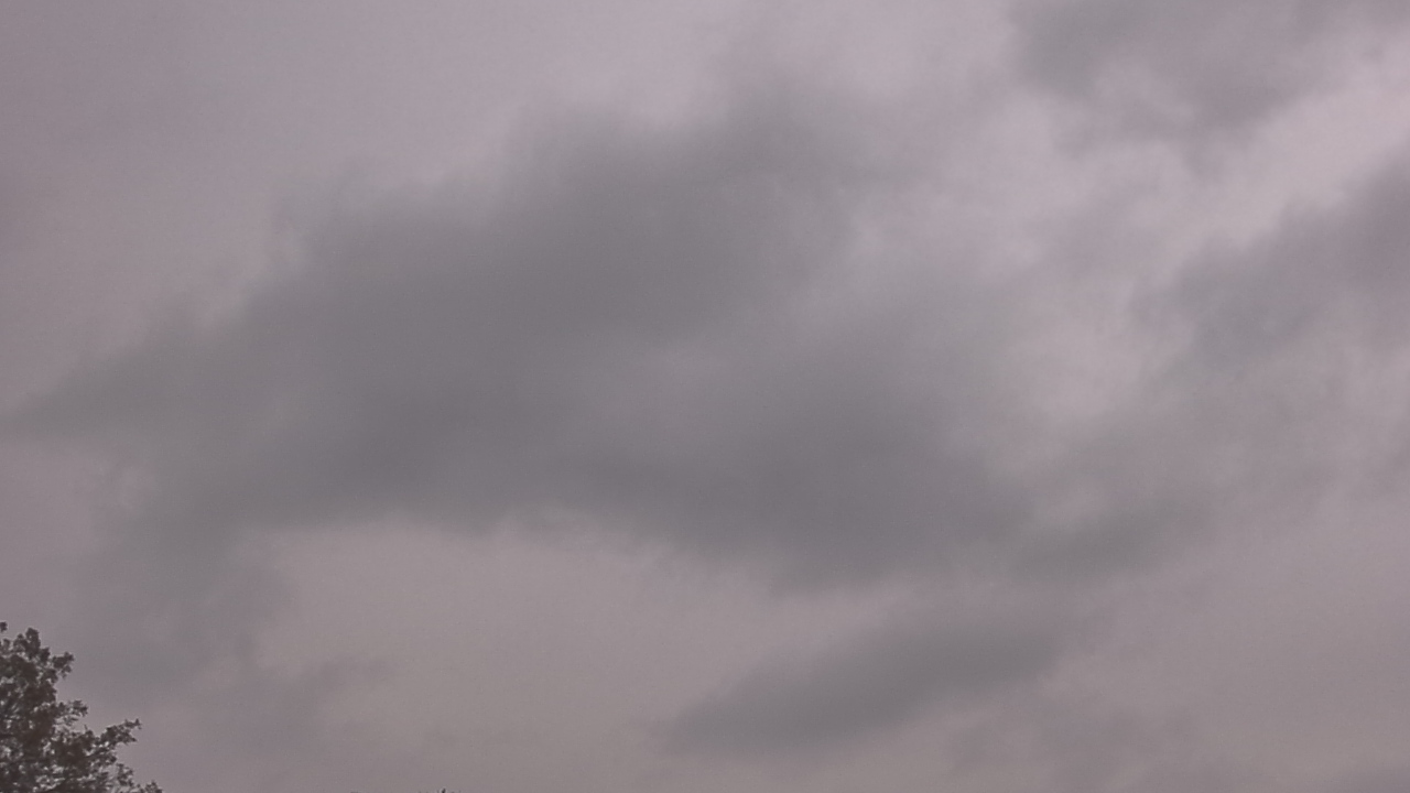 Thumbnail for current weather camera view from The Lamplighter School in Dallas, Texas