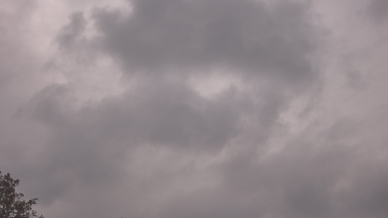 Thumbnail for current weather camera view from The Lamplighter School in Dallas, Texas