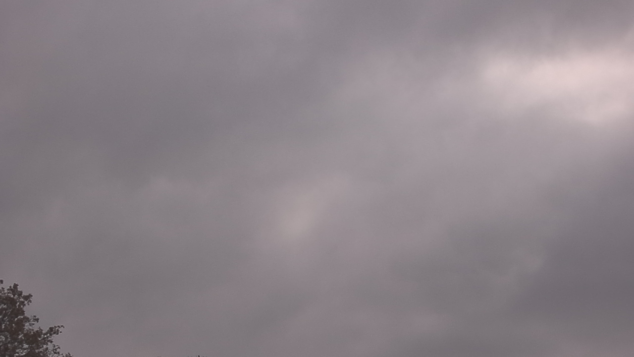 Thumbnail for current weather camera view from The Lamplighter School in Dallas, Texas