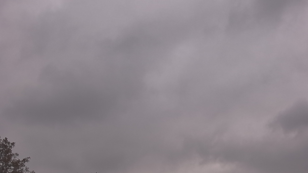 Thumbnail for current weather camera view from The Lamplighter School in Dallas, Texas