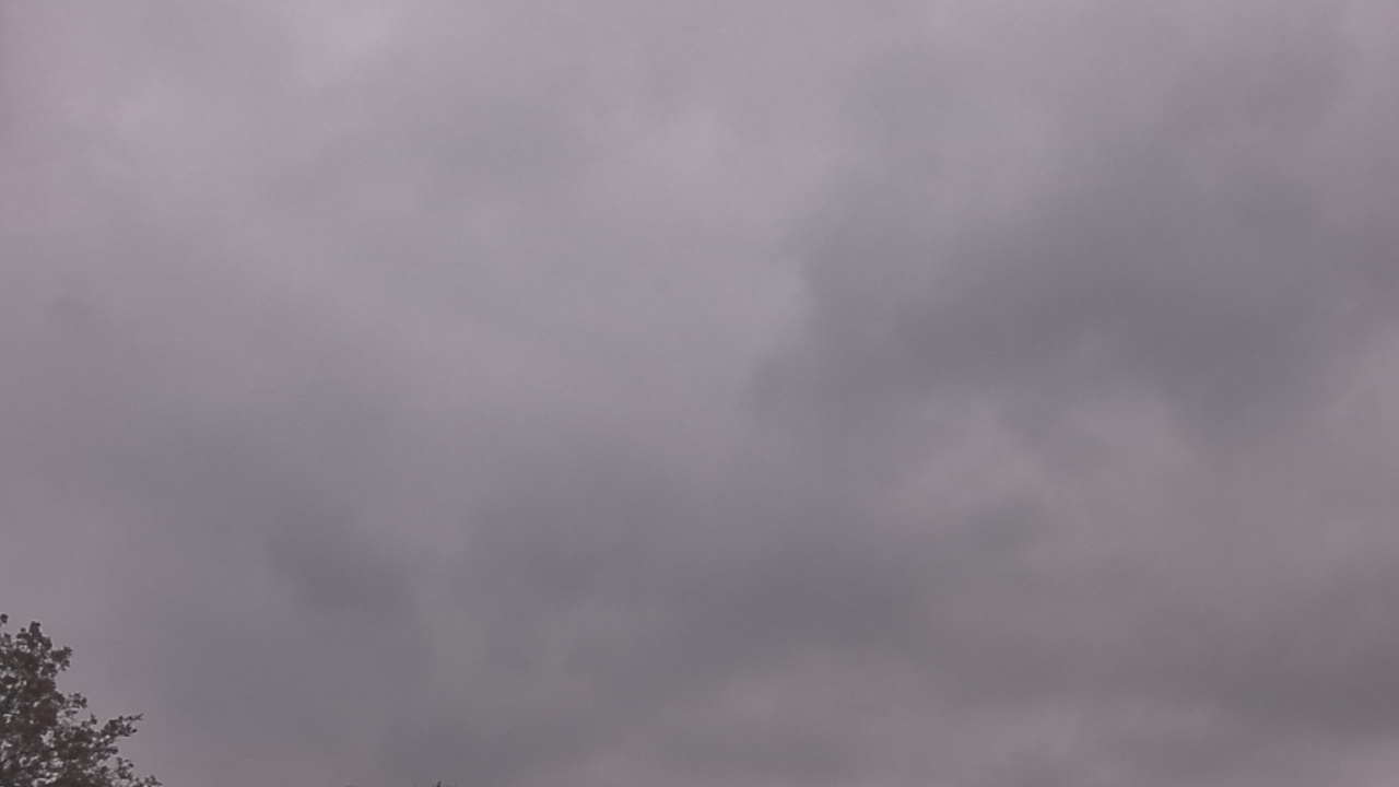 Thumbnail for current weather camera view from The Lamplighter School in Dallas, Texas