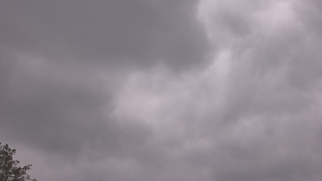 Thumbnail for current weather camera view from The Lamplighter School in Dallas, Texas