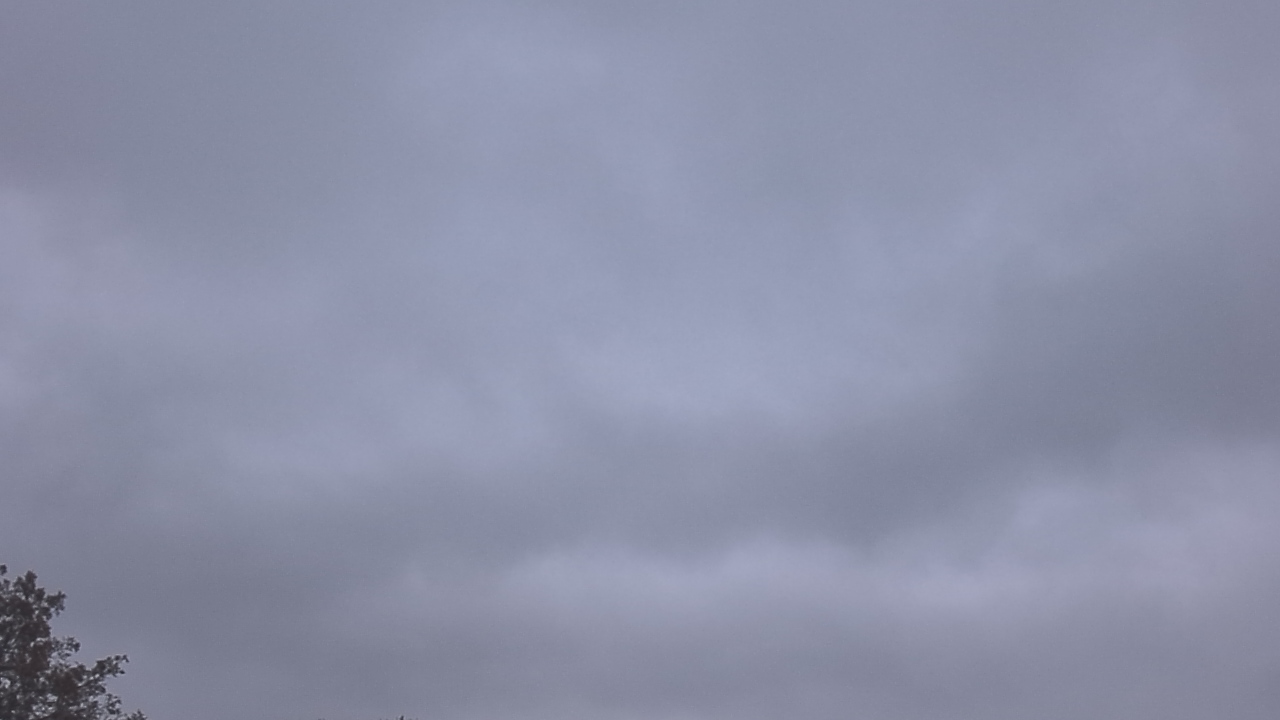 Thumbnail for current weather camera view from The Lamplighter School in Dallas, Texas