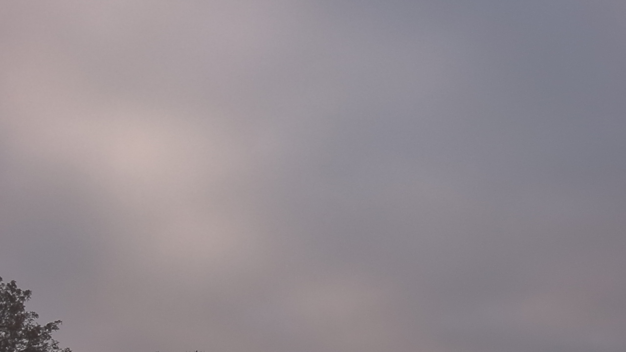 Thumbnail for current weather camera view from The Lamplighter School in Dallas, Texas