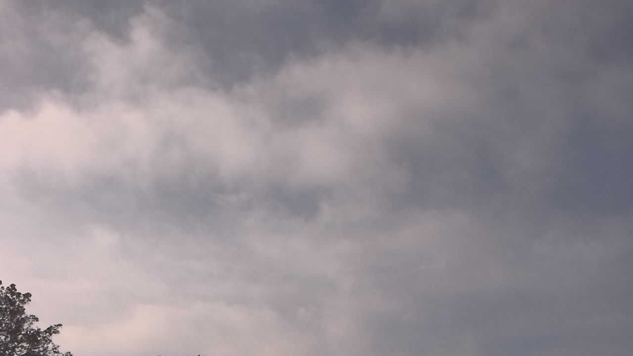 Thumbnail for current weather camera view from The Lamplighter School in Dallas, Texas