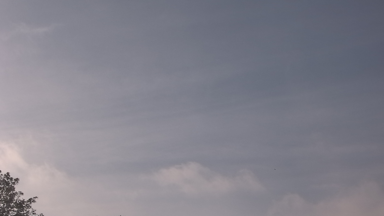 Thumbnail for current weather camera view from The Lamplighter School in Dallas, Texas