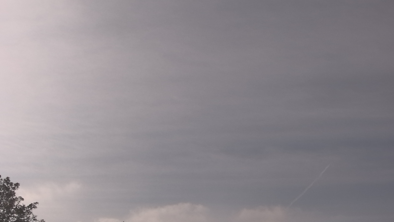 Thumbnail for current weather camera view from The Lamplighter School in Dallas, Texas