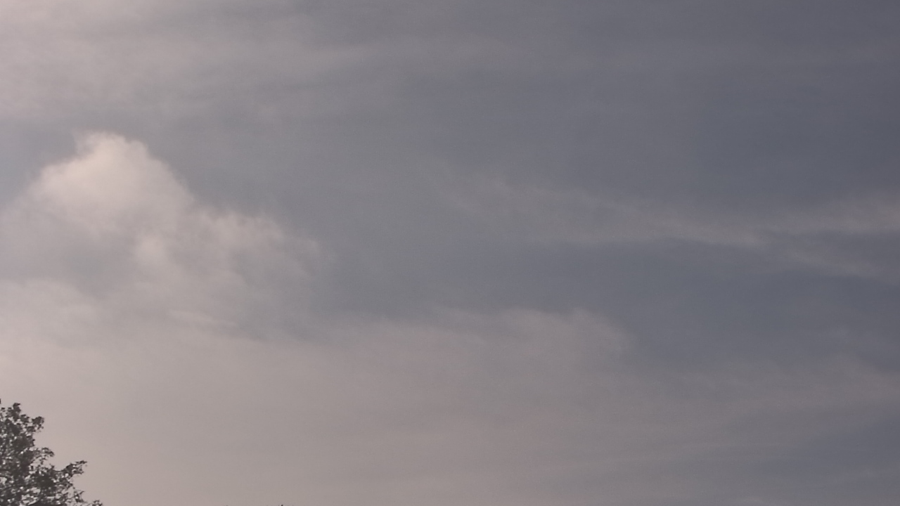 Thumbnail for current weather camera view from The Lamplighter School in Dallas, Texas