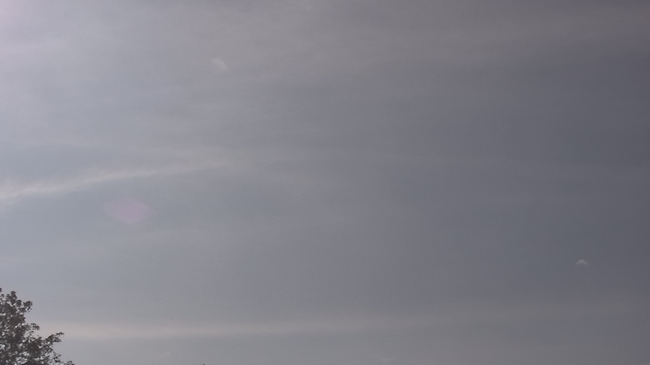 Thumbnail for current weather camera view from The Lamplighter School in Dallas, Texas