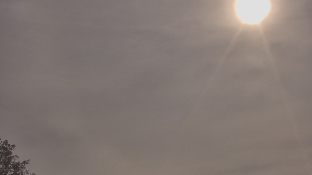 Thumbnail for current weather camera view from The Lamplighter School in Dallas, Texas