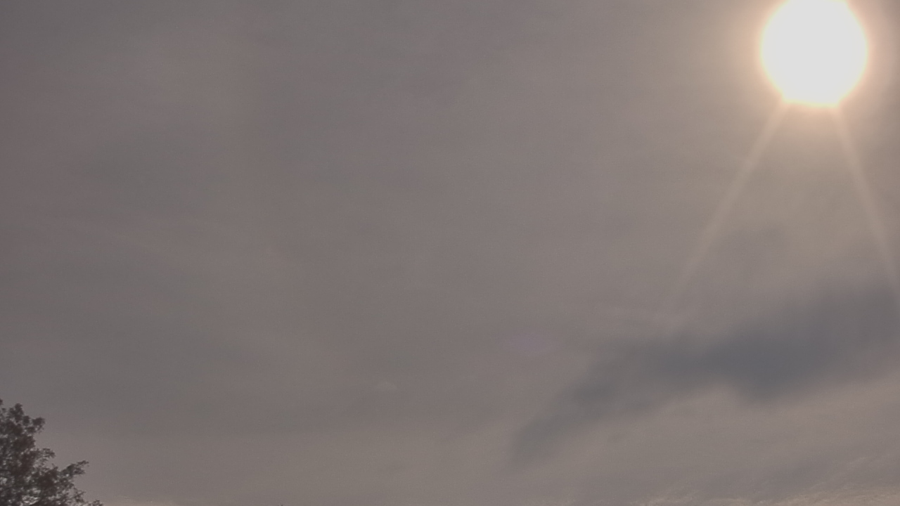 Thumbnail for current weather camera view from The Lamplighter School in Dallas, Texas