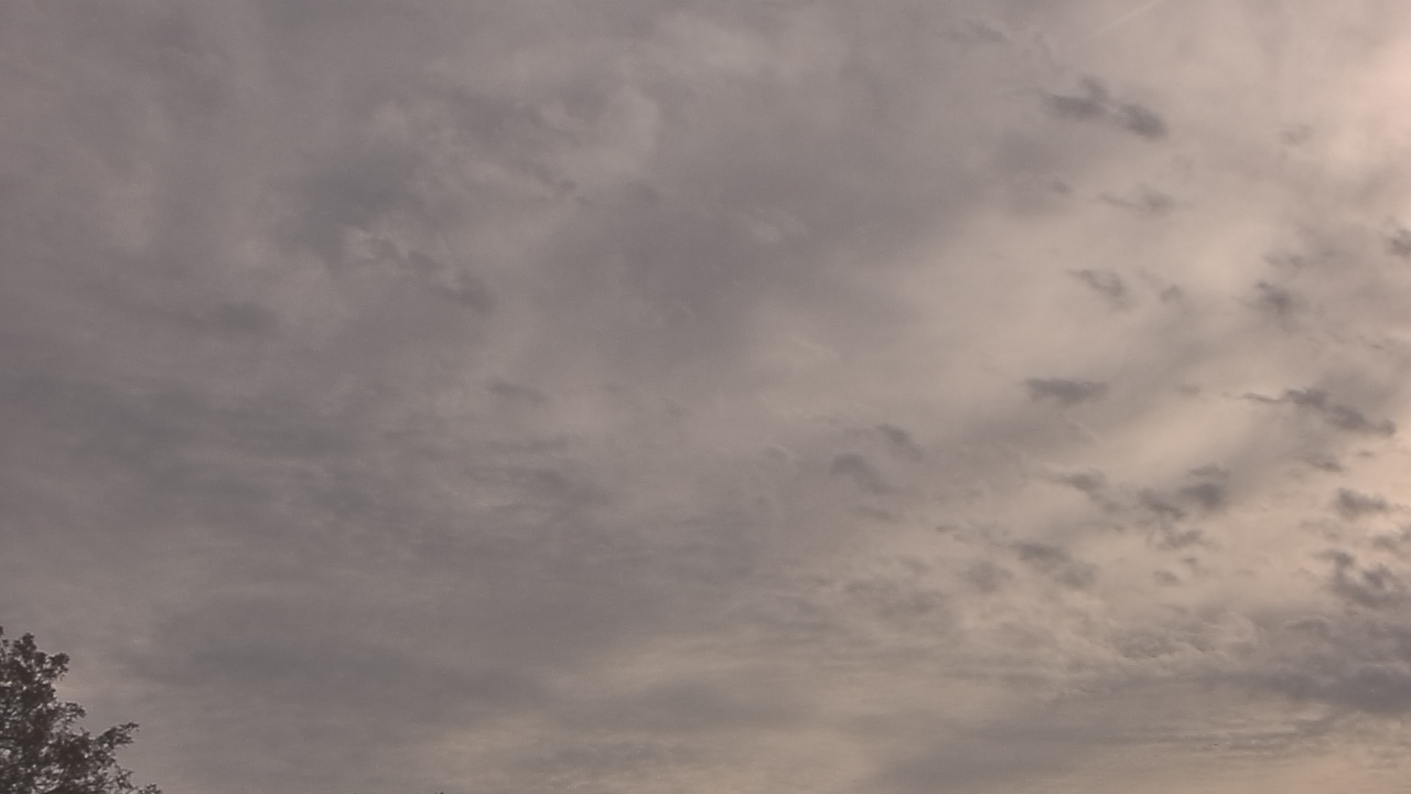 Thumbnail for current weather camera view from The Lamplighter School in Dallas, Texas