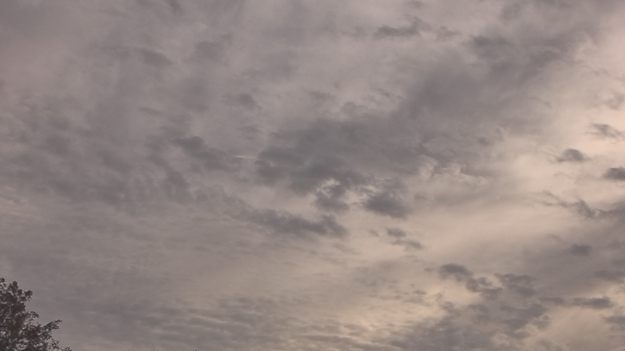 Thumbnail for current weather camera view from The Lamplighter School in Dallas, Texas