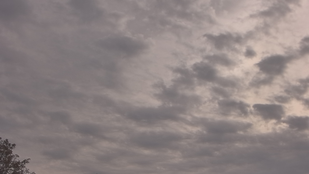 Thumbnail for current weather camera view from The Lamplighter School in Dallas, Texas