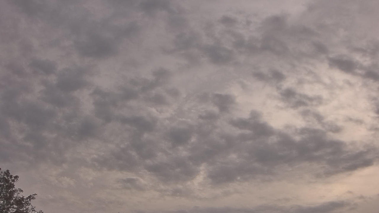 Thumbnail for current weather camera view from The Lamplighter School in Dallas, Texas