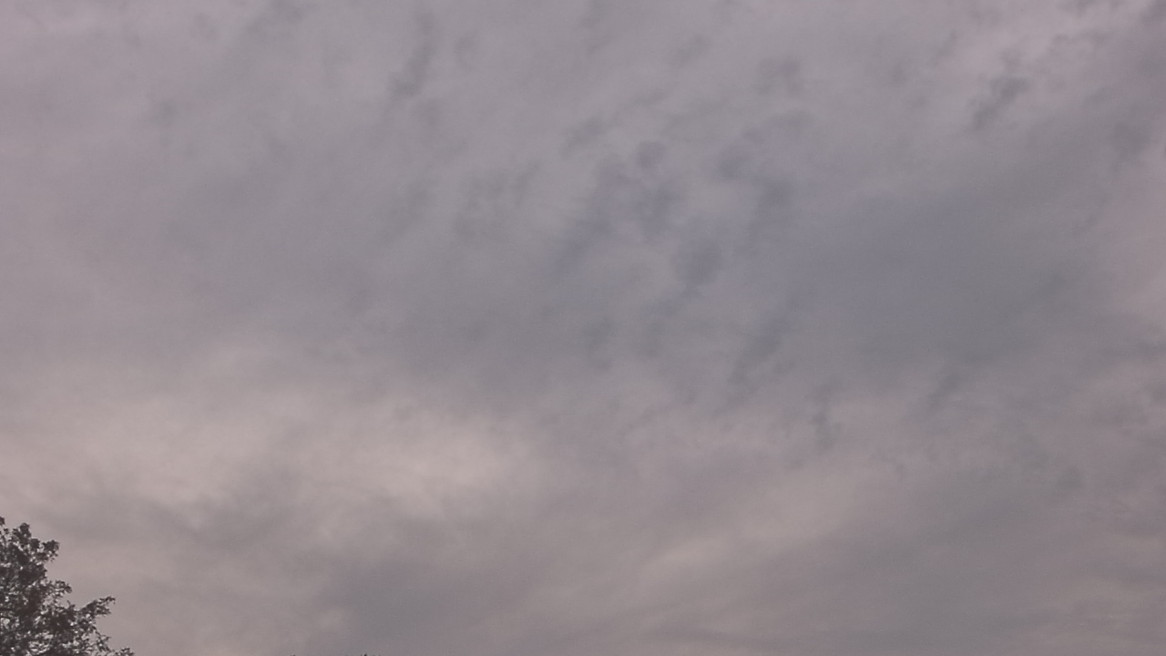 Thumbnail for current weather camera view from The Lamplighter School in Dallas, Texas