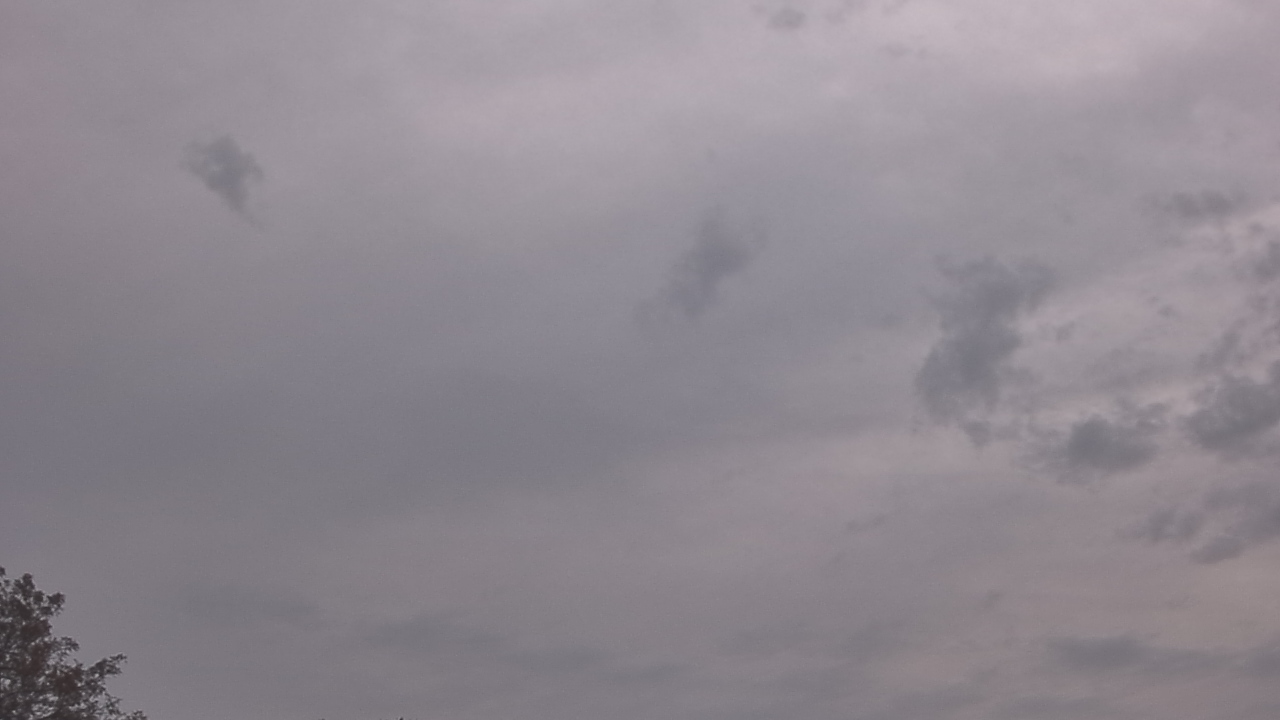 Thumbnail for current weather camera view from The Lamplighter School in Dallas, Texas