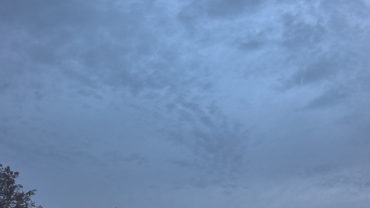 Thumbnail for current weather camera view from The Lamplighter School in Dallas, Texas