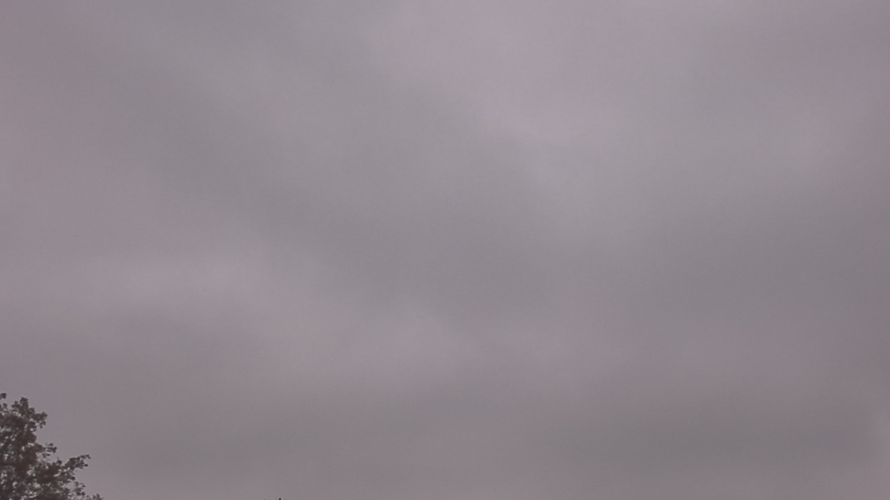 Thumbnail for current weather camera view from The Lamplighter School in Dallas, Texas