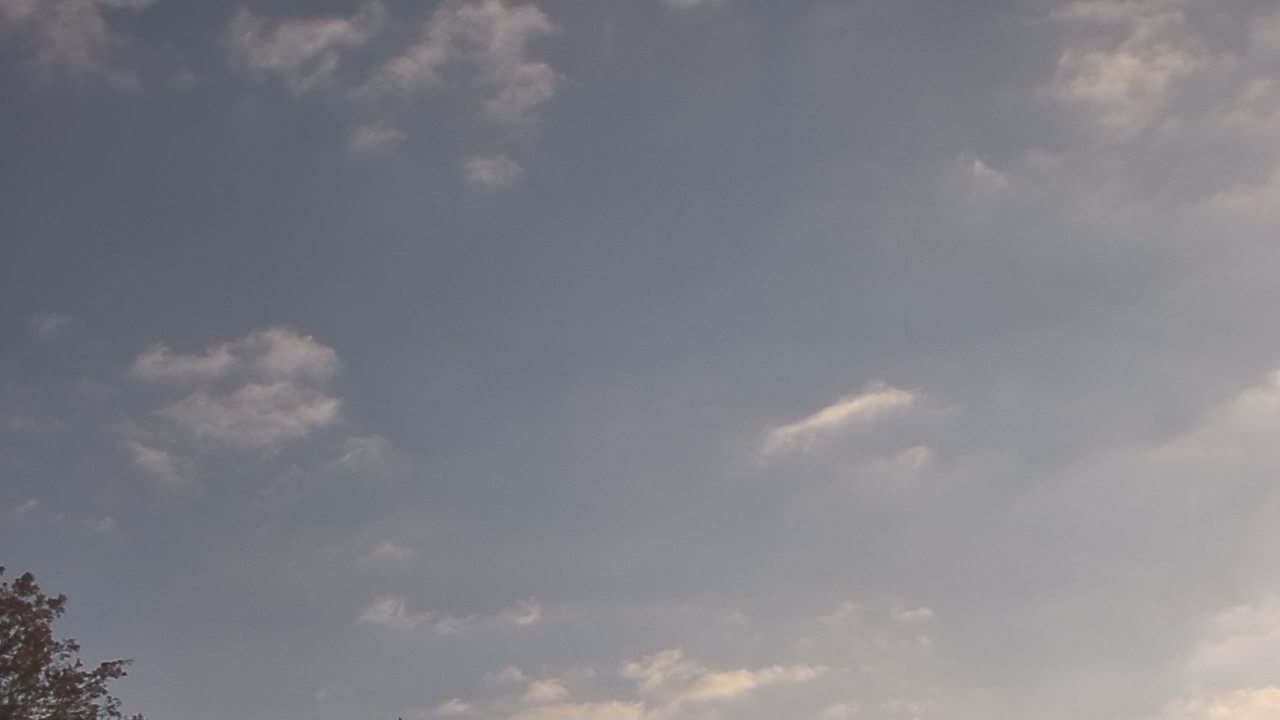 Thumbnail for current weather camera view from The Lamplighter School in Dallas, Texas