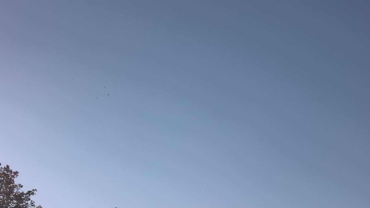 Thumbnail for current weather camera view from The Lamplighter School in Dallas, Texas