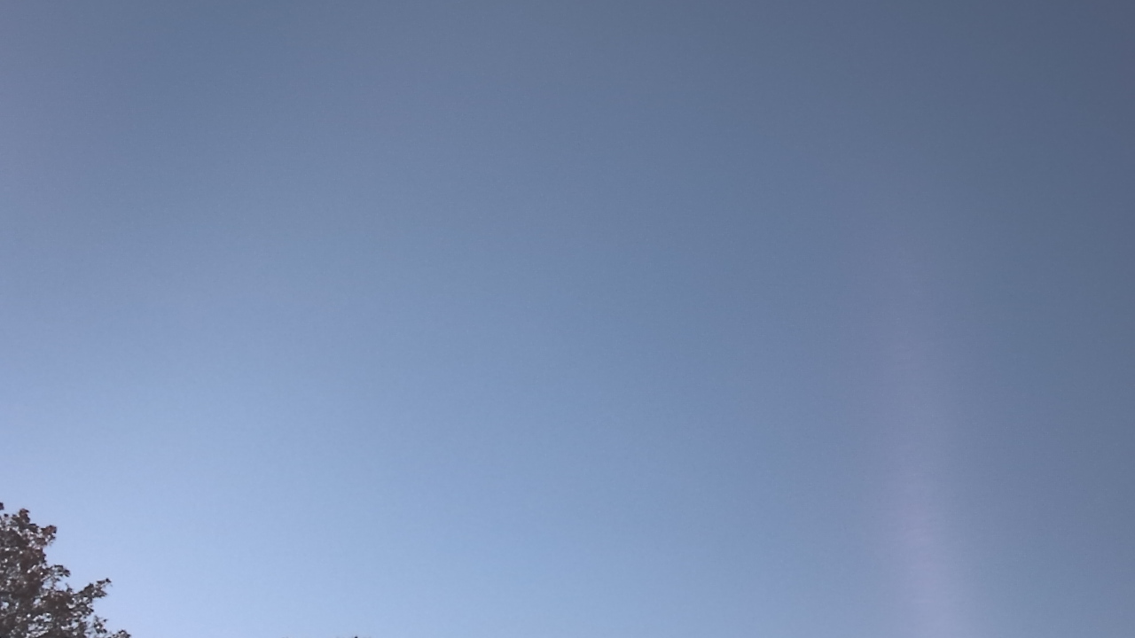 Thumbnail for current weather camera view from The Lamplighter School in Dallas, Texas