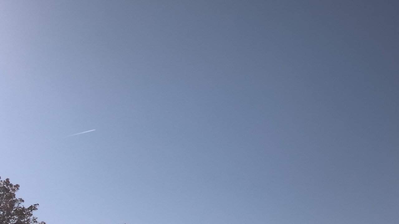 Thumbnail for current weather camera view from The Lamplighter School in Dallas, Texas