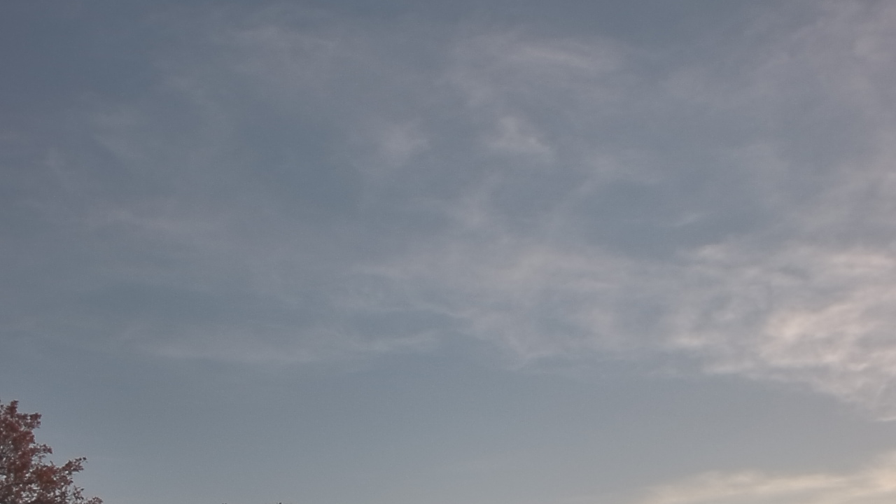 Thumbnail for current weather camera view from The Lamplighter School in Dallas, Texas