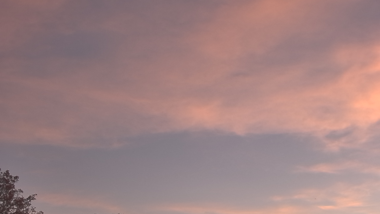 Thumbnail for current weather camera view from The Lamplighter School in Dallas, Texas