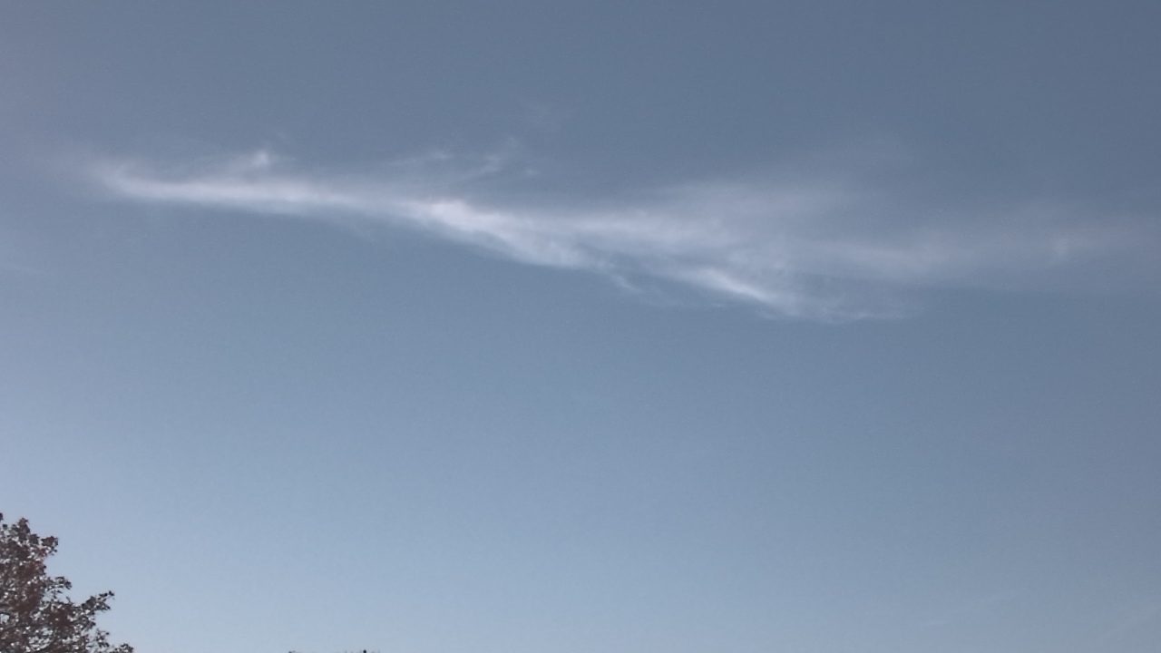 Thumbnail for current weather camera view from The Lamplighter School in Dallas, Texas