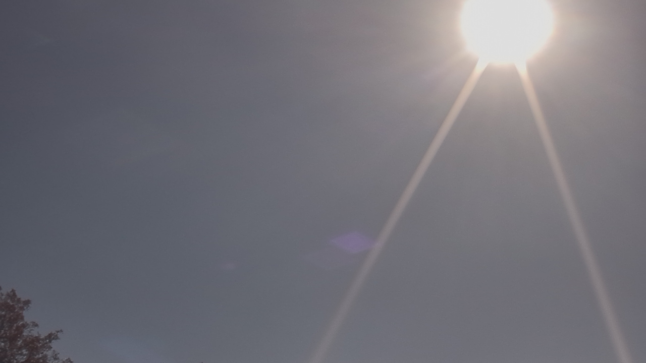 Thumbnail for current weather camera view from The Lamplighter School in Dallas, Texas