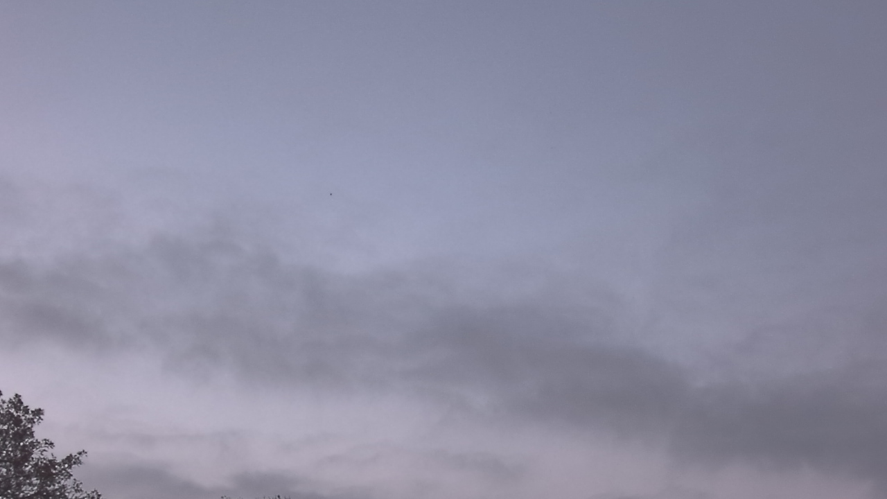 Thumbnail for current weather camera view from The Lamplighter School in Dallas, Texas