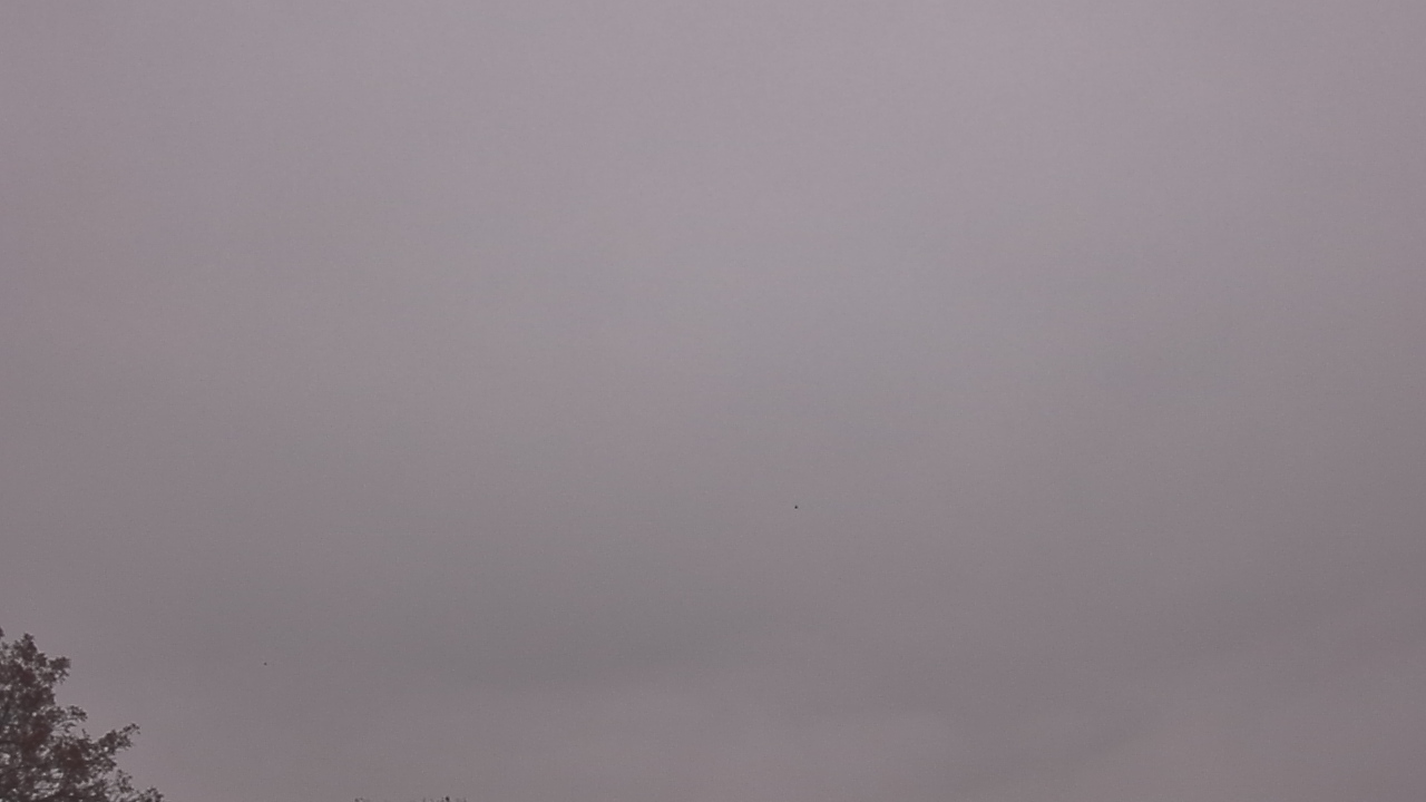 Thumbnail for current weather camera view from The Lamplighter School in Dallas, Texas