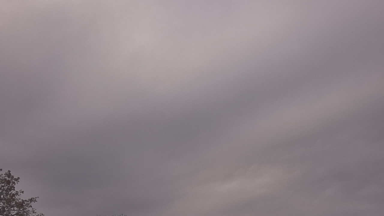 Thumbnail for current weather camera view from The Lamplighter School in Dallas, Texas