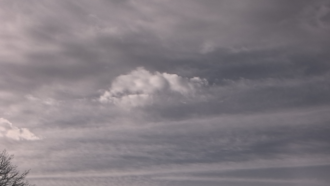 Thumbnail for current weather camera view from The Lamplighter School in Dallas, Texas