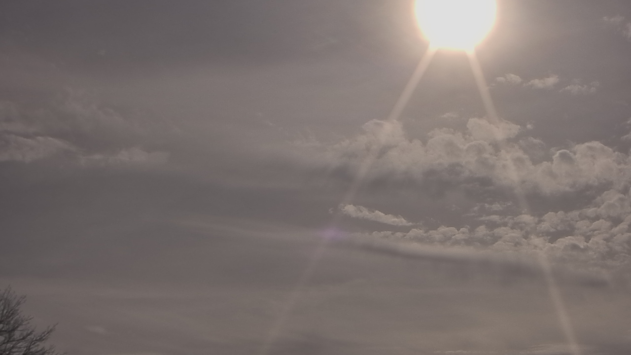 Thumbnail for current weather camera view from The Lamplighter School in Dallas, Texas